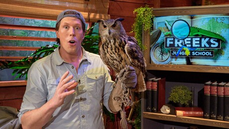 Freeks Jungle School | Jagers in de Schaduw: uilen